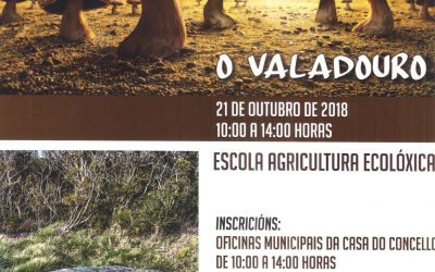 CURSO DE INICIACIÓN Á MICOLOXÍA 2018