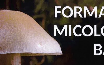 Formación Micolóxica Básica