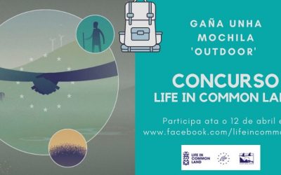 Concurso Life In Common Life