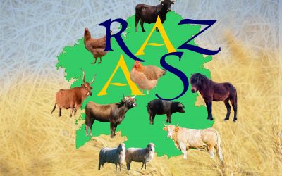 III FEIRA DE RAZAS AUTÓCTONAS GALEGAS NO VALADOURO. 5 de febreiro.