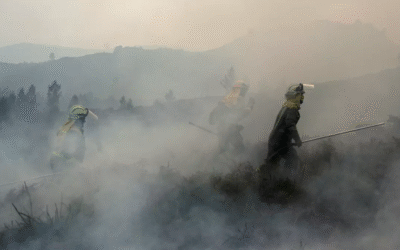 PREVENCIÓN E DEFENSA CONTRA INCENDIOS FORESTAIS (2025-2026)