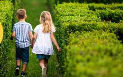 Solicitude do Servizo Madrugadores e a Tarde máis Diver