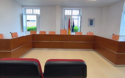 Pleno Ordinario – 1 de xullo de 2026
